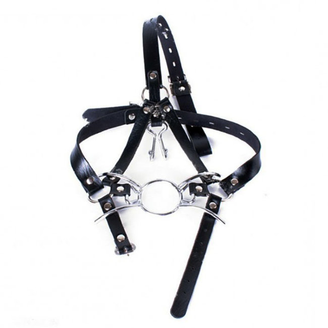 Кляп-паук с фиксацией-сбруей на голову